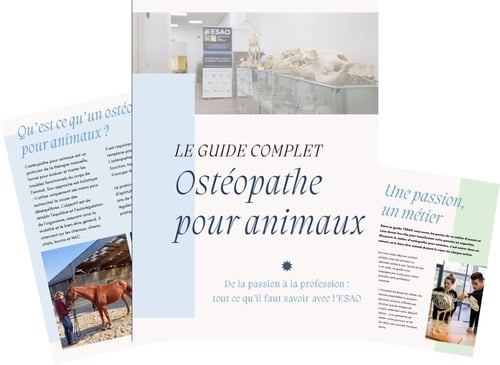 Design sans titre (3)-1